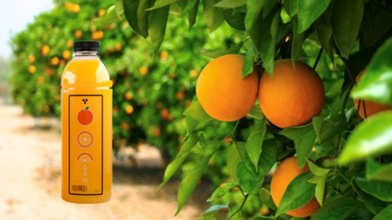 Spécialiste du jus d’orange frais